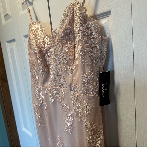 Blush Embroidered Sleeveless Maxi Dress - Picture 6 of 7